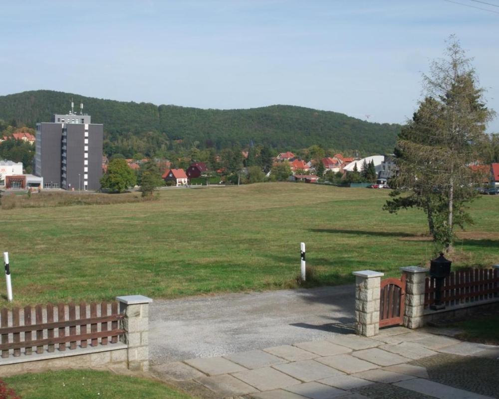 фото Eichhörnchen Wernigerode