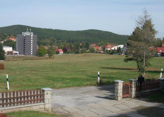 Eichhörnchen Wernigerode