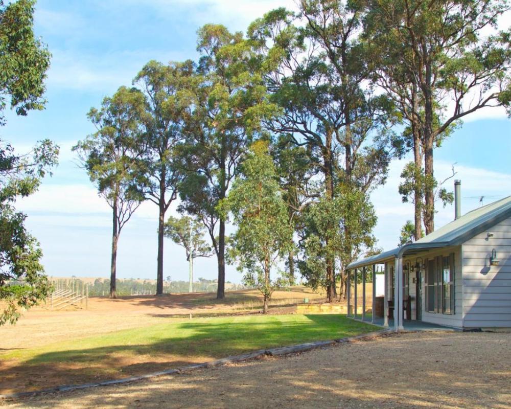 фото RidgeView
