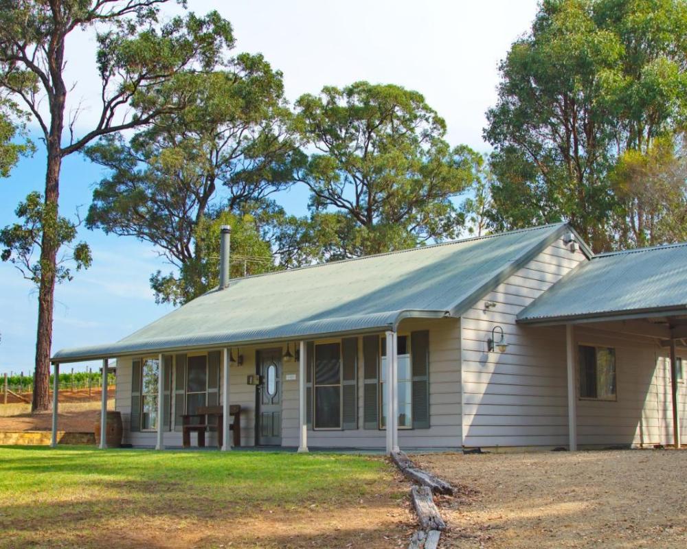 фото RidgeView