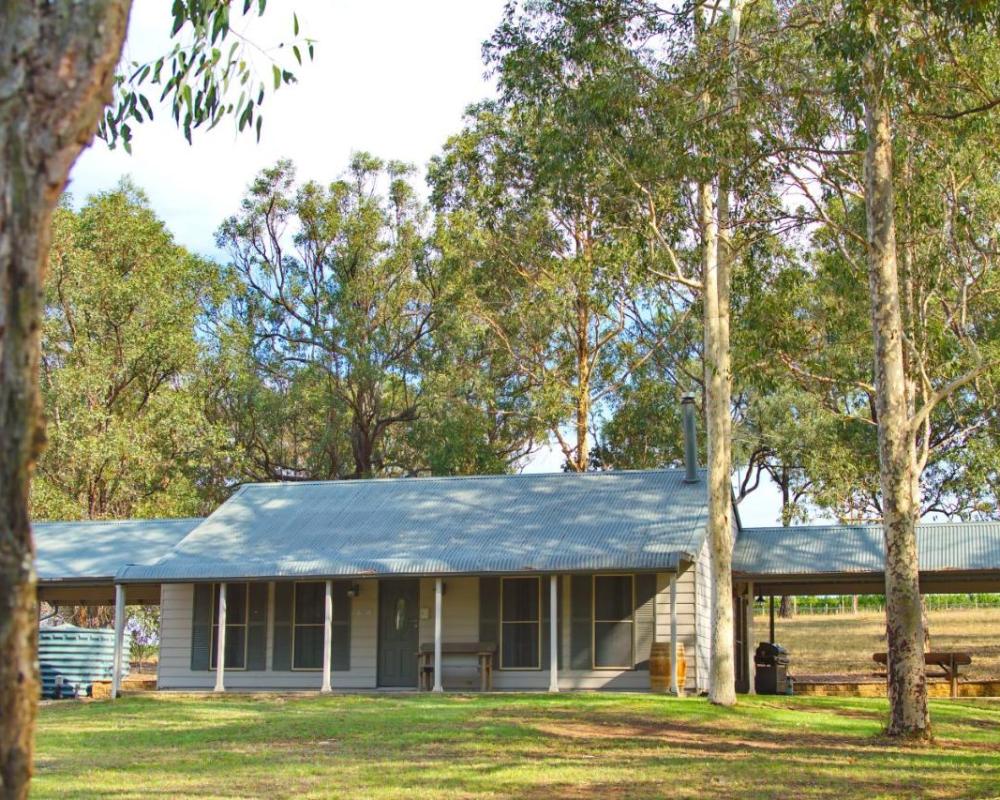 фото RidgeView