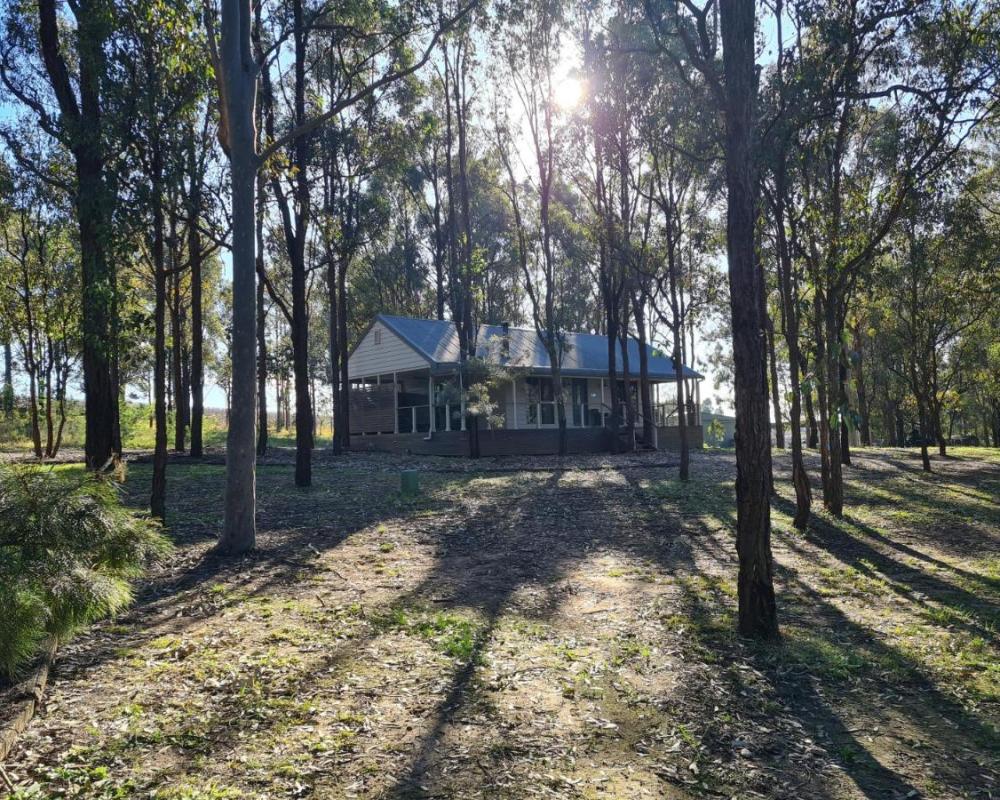 фото RidgeView