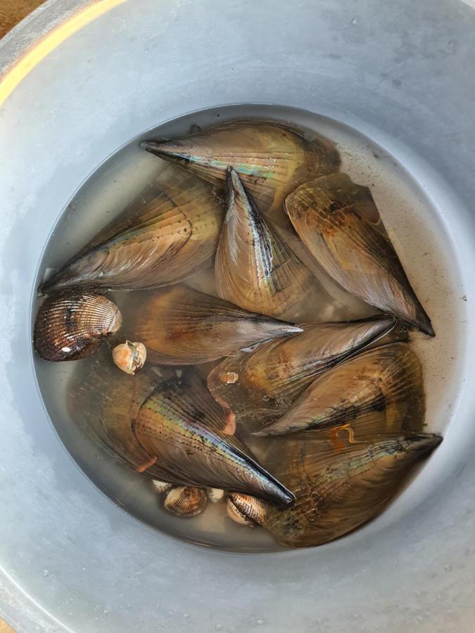 фото Yonghyun's house