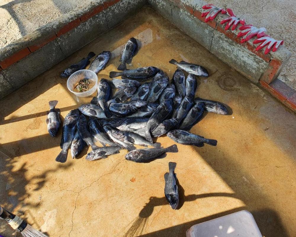 фото Yonghyun's house