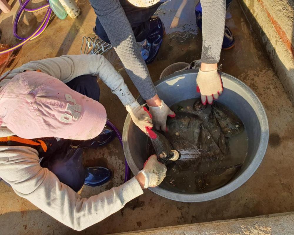 фото Yonghyun's house