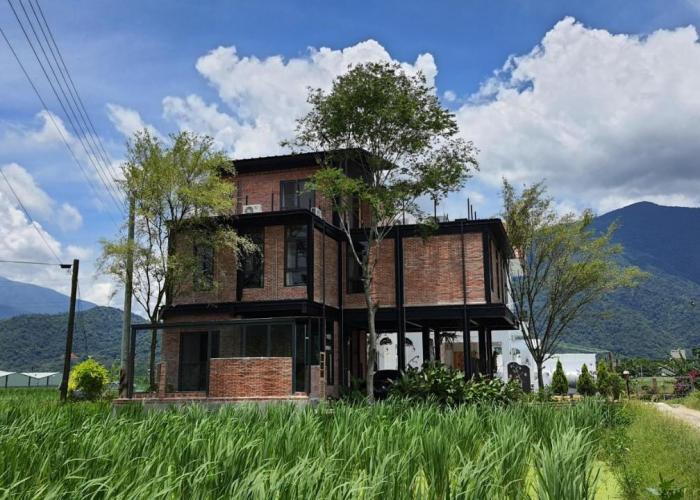 缽割貓點點 青旅 DianDian hostel