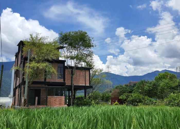 缽割貓點點 青旅 DianDian hostel