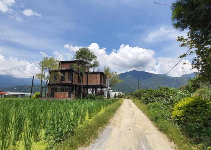 缽割貓點點 青旅 DianDian hostel