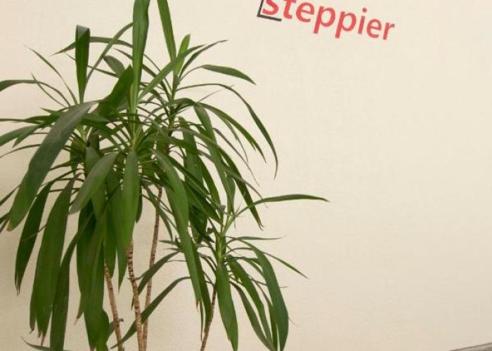 step pier