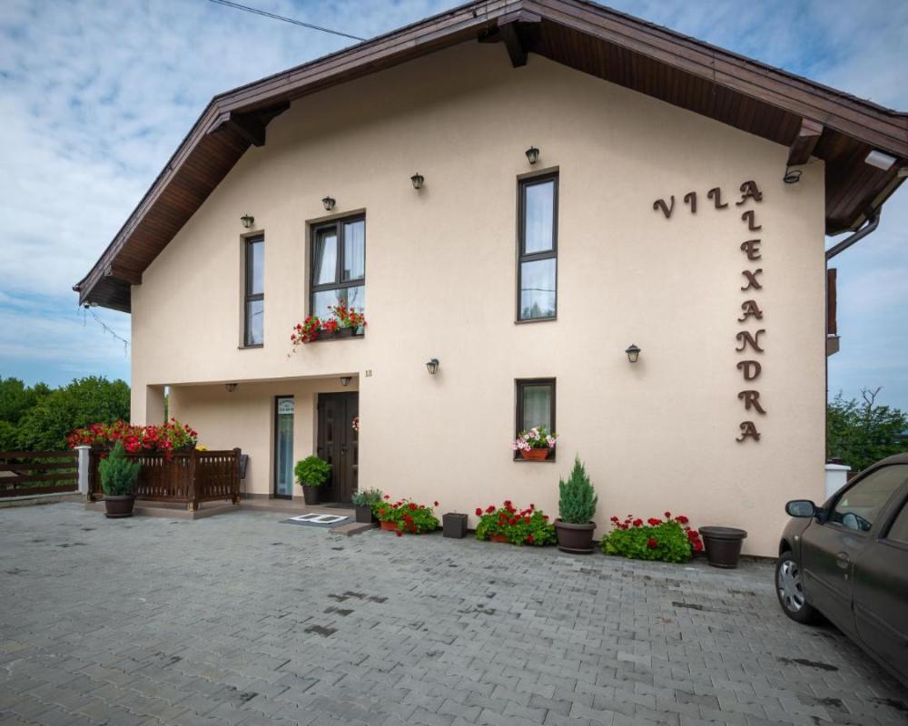 фото Vila Alexandra Sovata