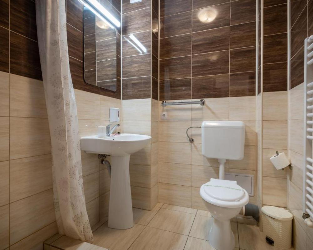 фото Vila Alexandra Sovata