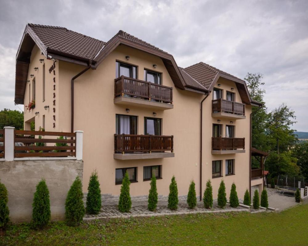 фото Vila Alexandra Sovata