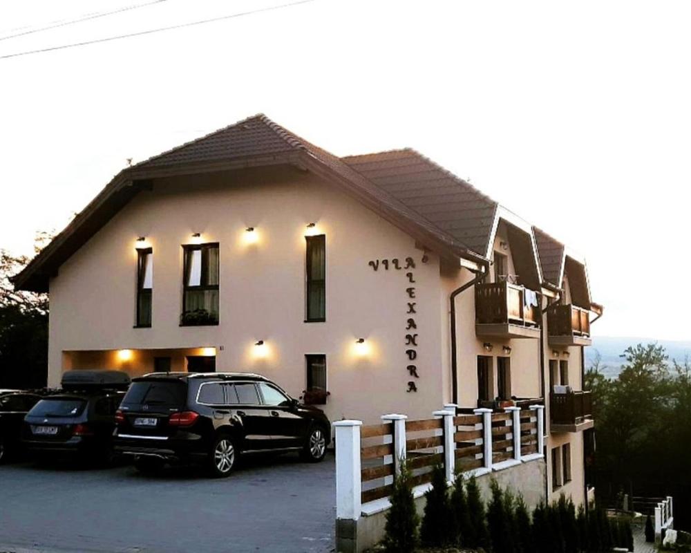 фото Vila Alexandra Sovata
