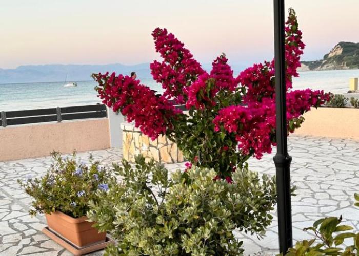 Apartment Thalassa