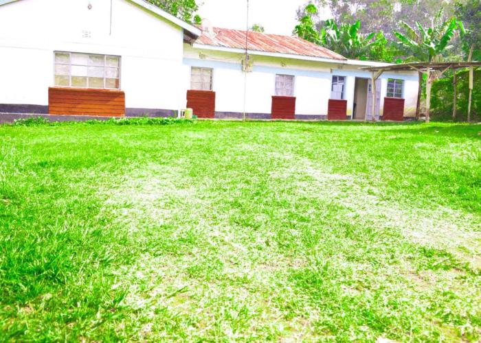 Beautiful 1BR with Wi-Fi & secure parking