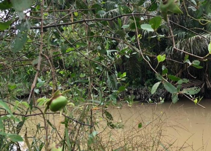 Bầu Bí Mini Farmstay Mekong - Tiền Giang