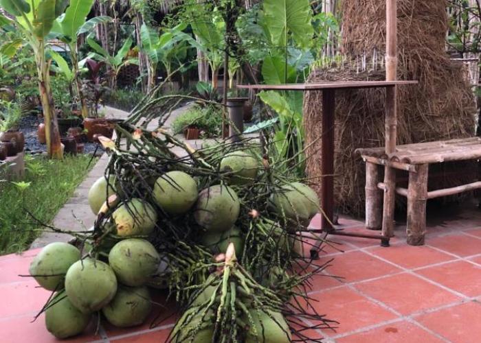 Bầu Bí Mini Farmstay Mekong - Tiền Giang