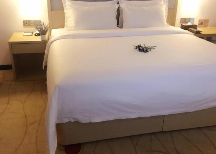 Lavande Hotel Yinchuan Wanda International Convention and Exhibition Center