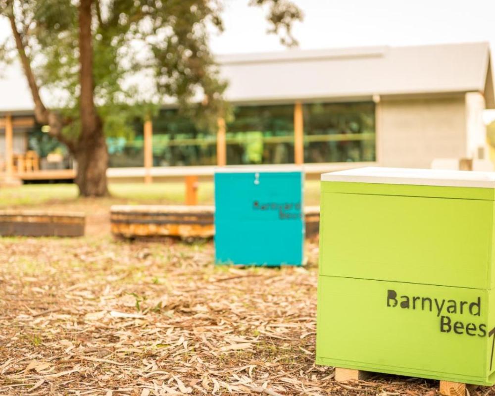 фото Barn Hives Yallingup