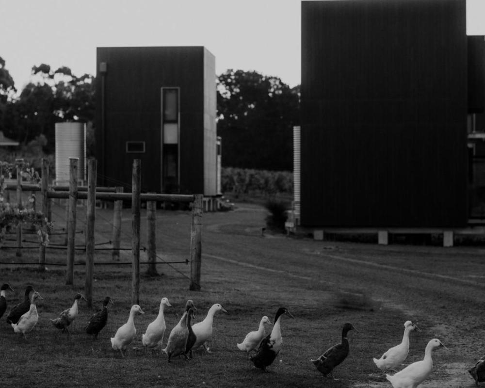 фото Barn Hives Yallingup