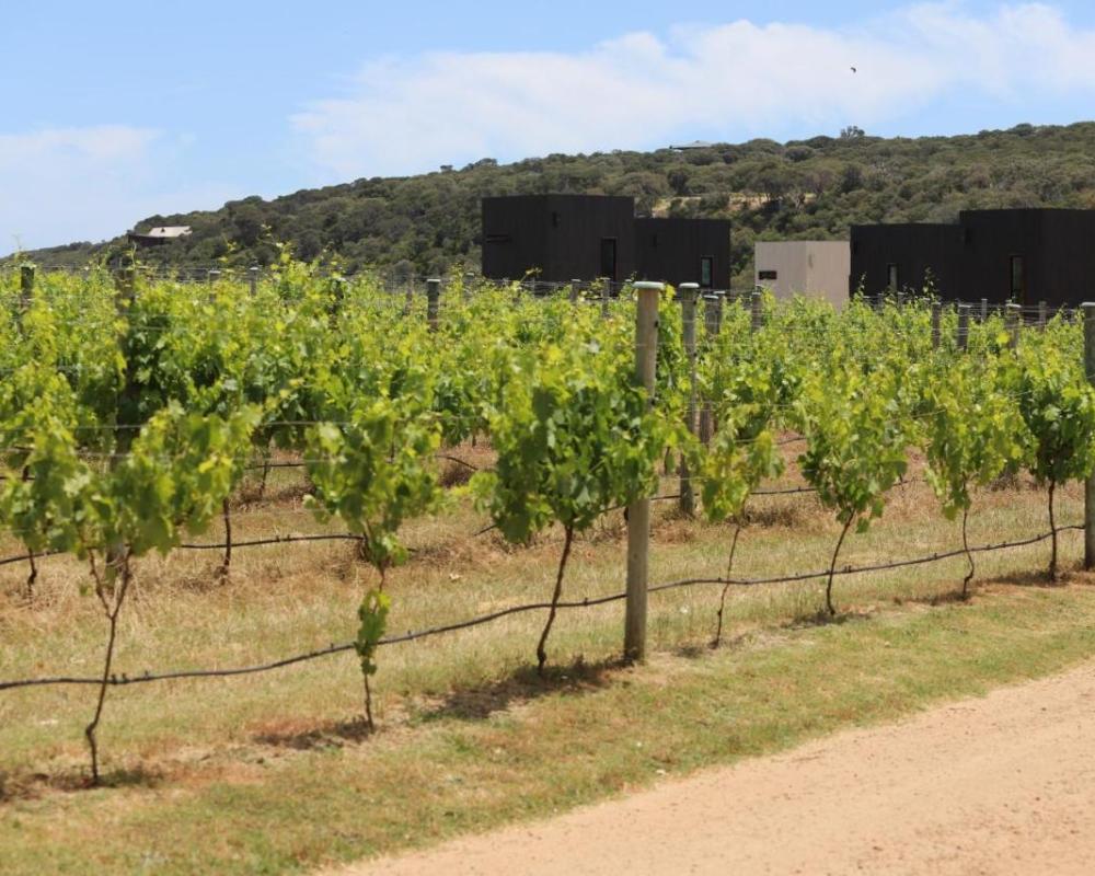 фото Barn Hives Yallingup