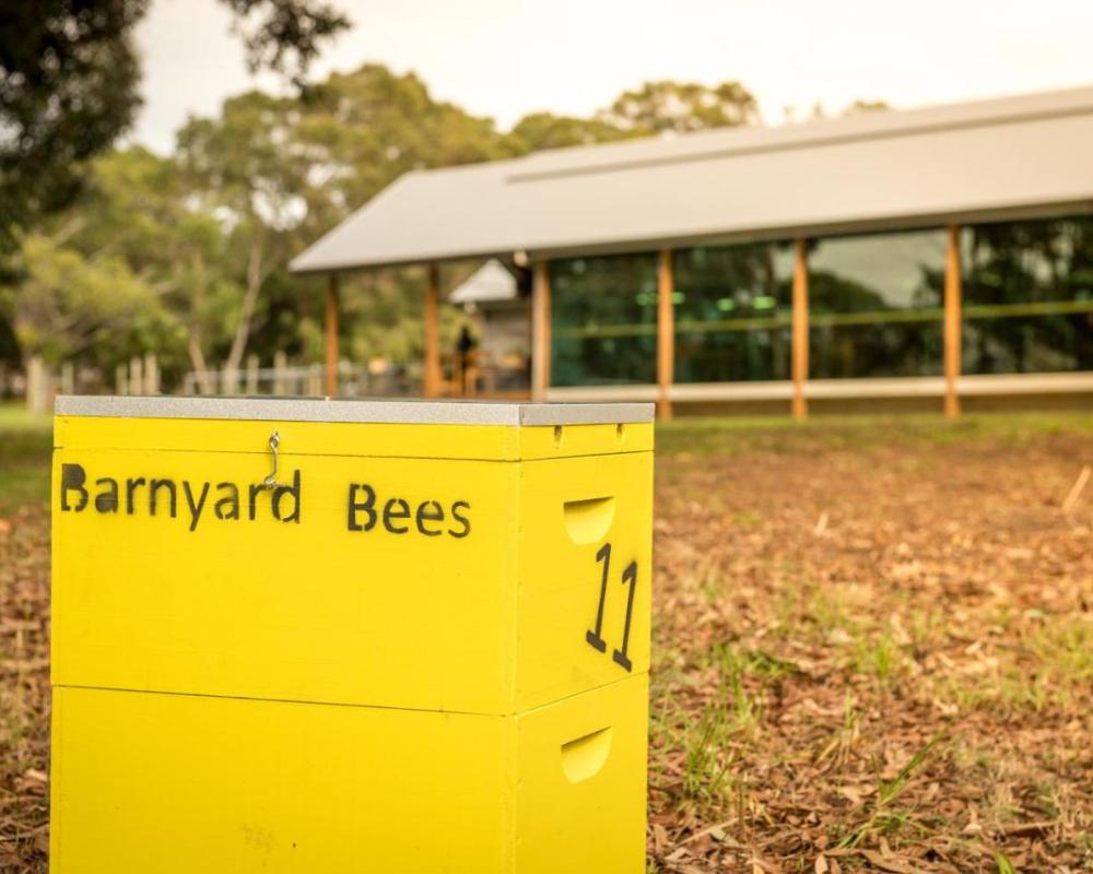фото Barn Hives Yallingup
