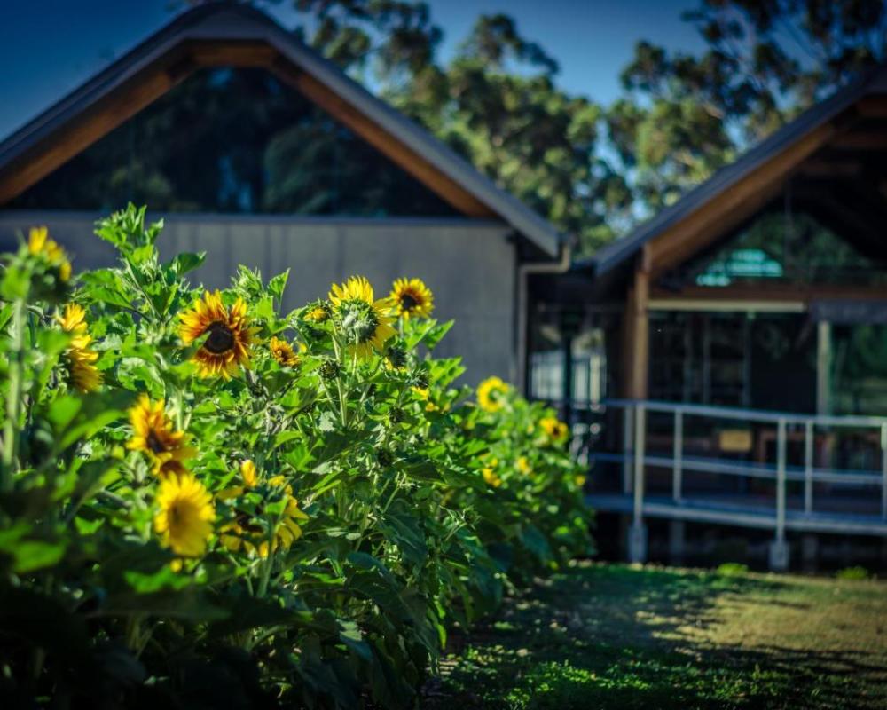фото Barn Hives Yallingup