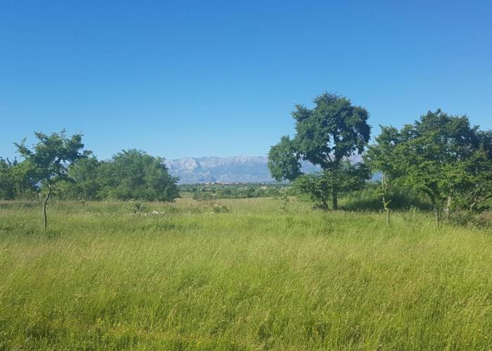 Savršen odmor u Villa Ivona