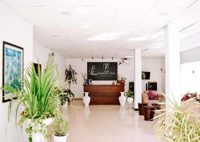 The Bamboo Tree Transit Hotel
