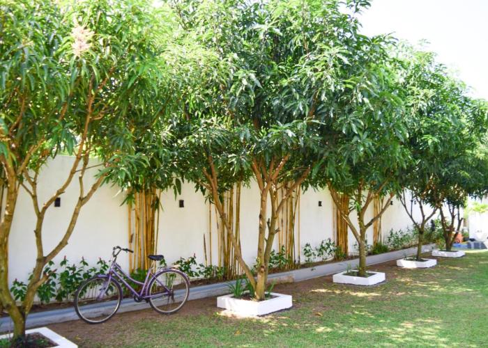The Bamboo Tree Transit Hotel