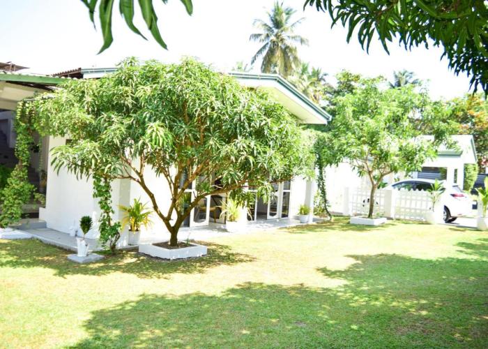 The Bamboo Tree Transit Hotel