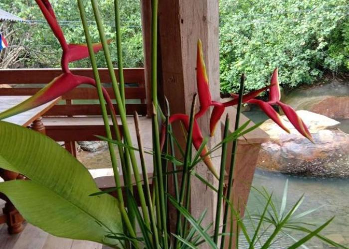 The Canale Boutique Stay Koh Kood