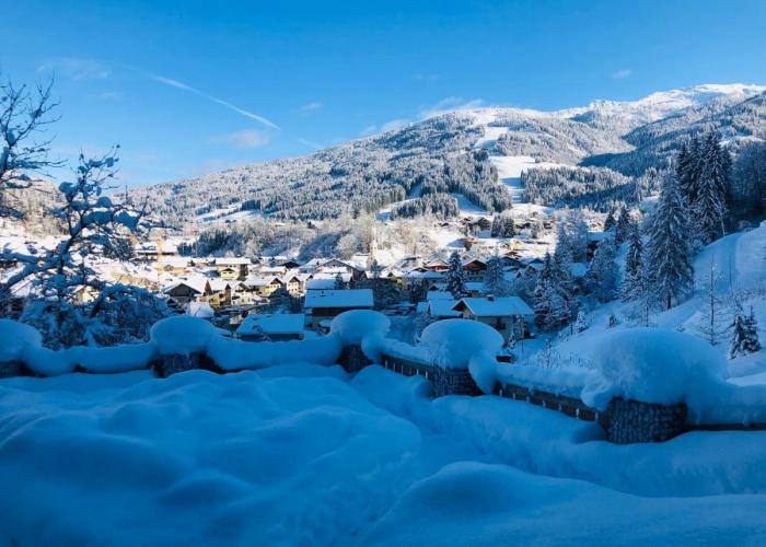 Apartment Wagrainblick