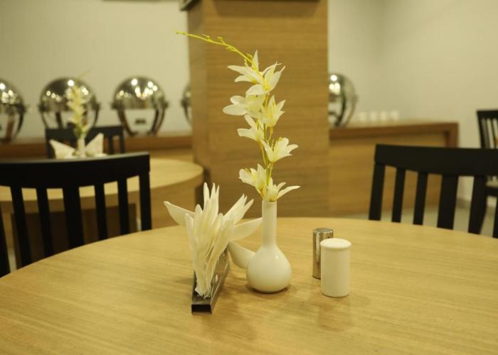 VIPs Hotel Olive