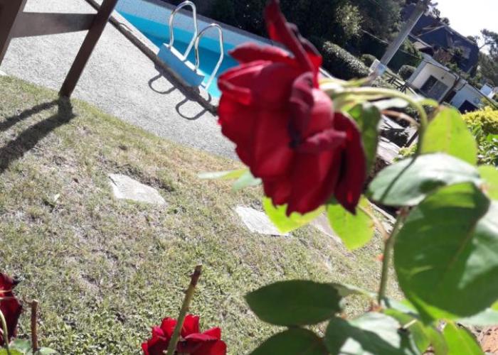 Apto tipo loft en Complejo Bahama, a metros del mar y zona muy tranquila