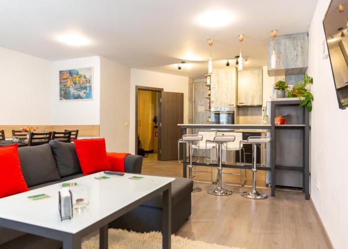 Fancy Big apartment in the heart of Sofia