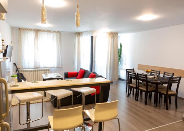 Fancy Big apartment in the heart of Sofia