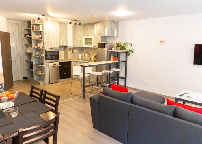 Fancy Big apartment in the heart of Sofia