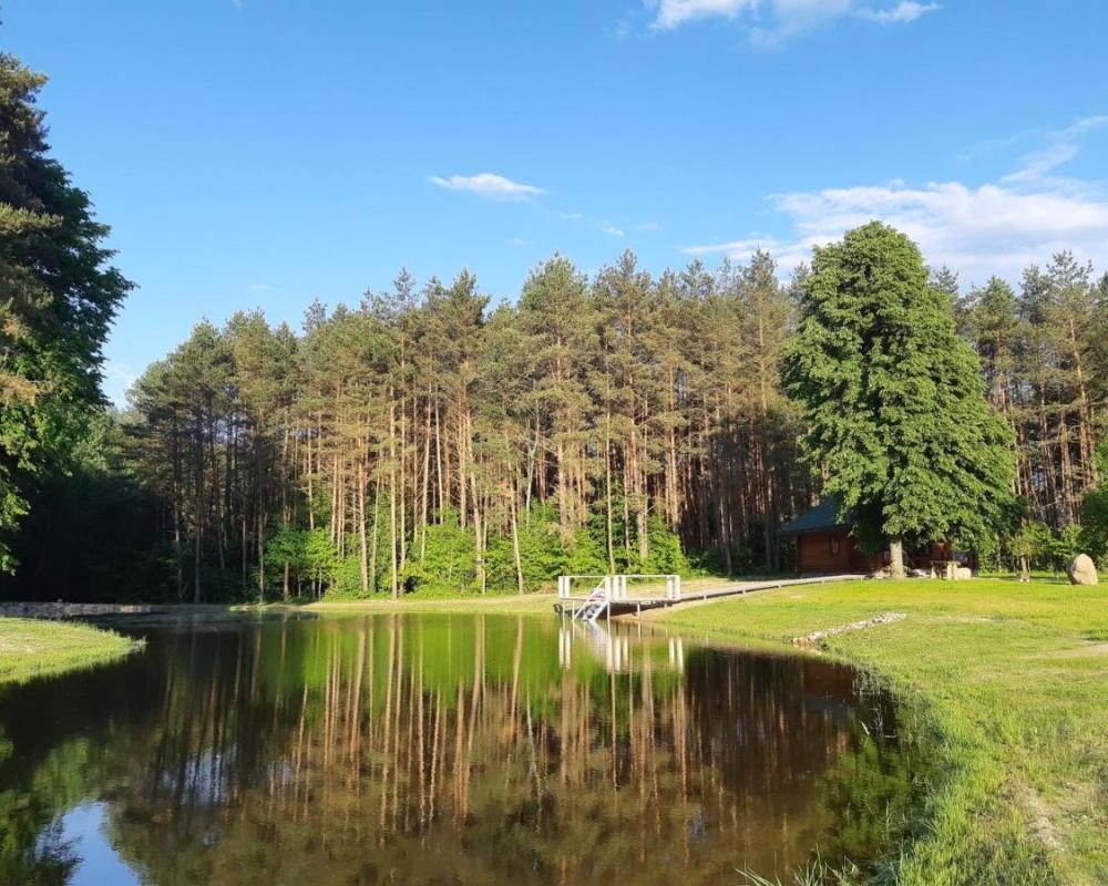 фото Pušų Šlamesy