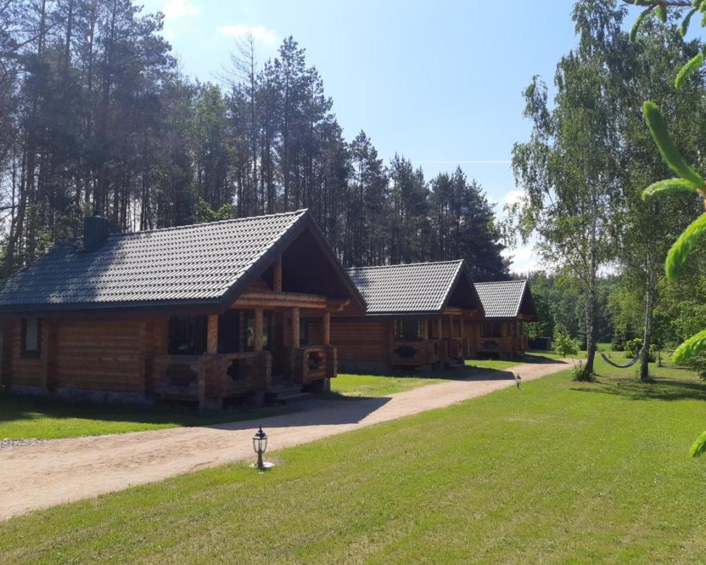 фото Pušų Šlamesy