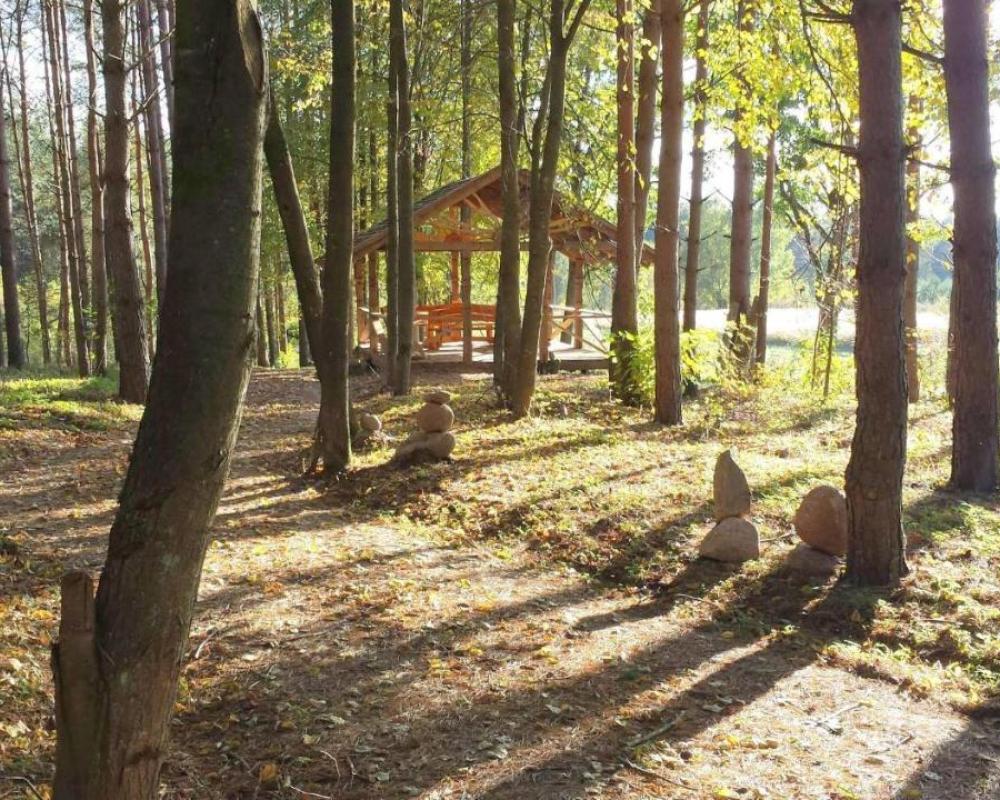 фото Pušų Šlamesy