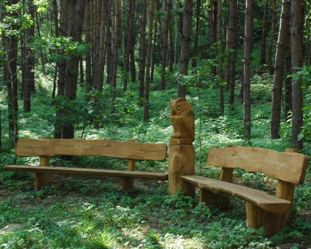 фото Pušų Šlamesy