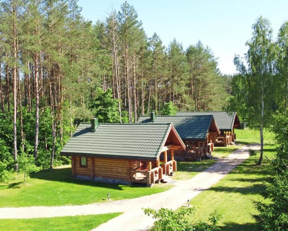 фото Pušų Šlamesy