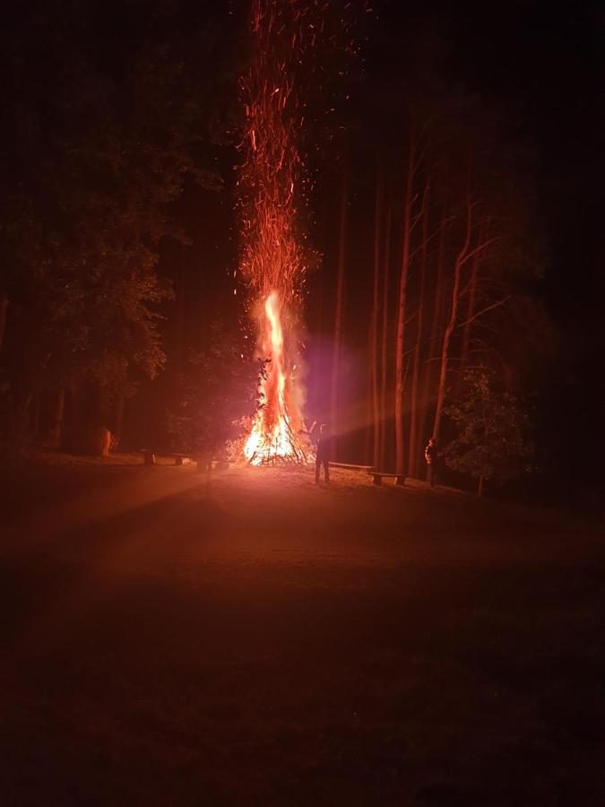 фото Pušų Šlamesy