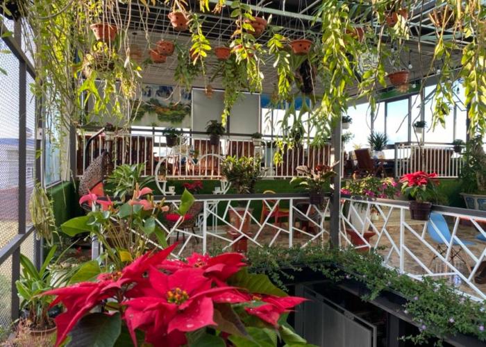Anh Tuấn Hotel & Coffee - Pleiku, Gia Lai