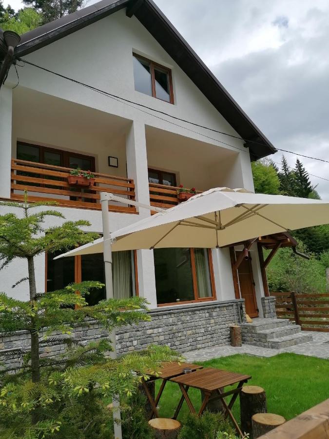 фото Vila Cedra