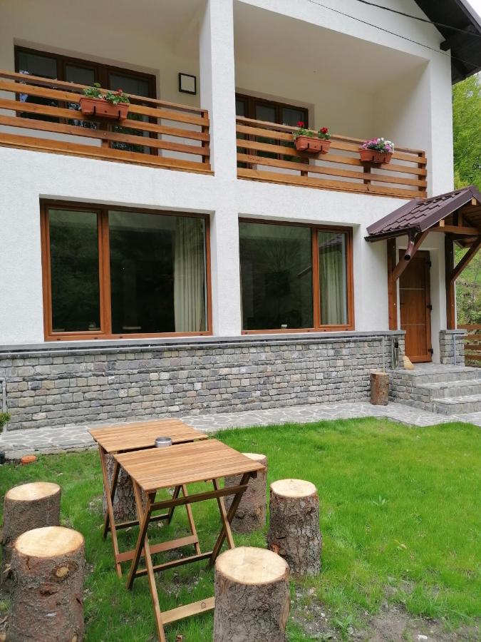 фото Vila Cedra