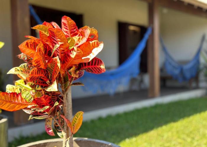 Parador Casa da Praia