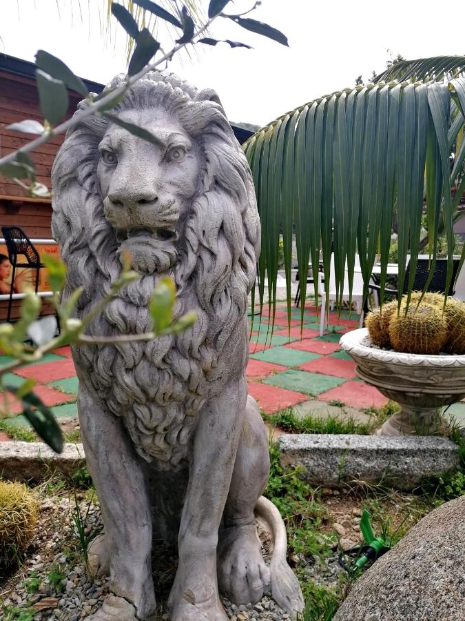 фото Afrodite Accomodation