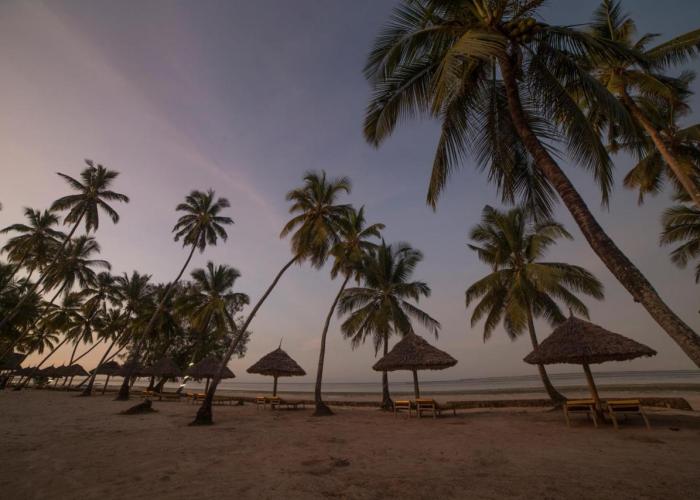 Antonio Beach Tree House Hotel & Spa